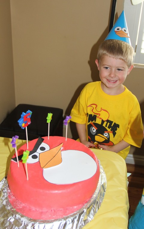 Angry bird birthday party
