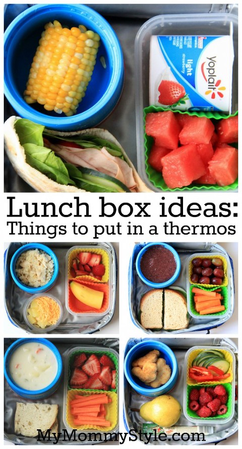 https://www.mymommystyle.com/wp-content/uploads/2013/09/things-to-put-in-a-thermos-thermos-how-to-pick-out-a-thermos-what-is-the-best-thermos-lunch-box-ideas-school-lunch-553x1024(pp_w480_h888).jpg